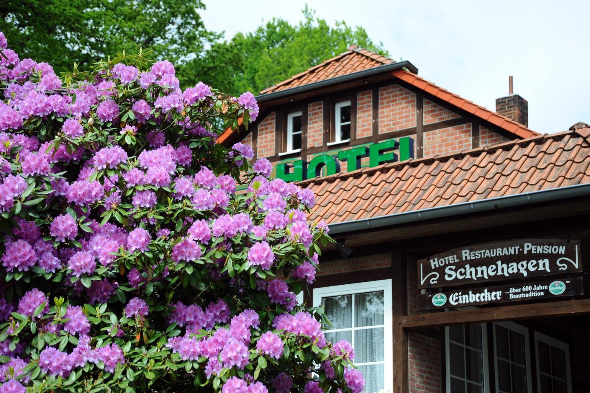Hotel Schnehagen Bad Fallingbostel Buitenkant foto